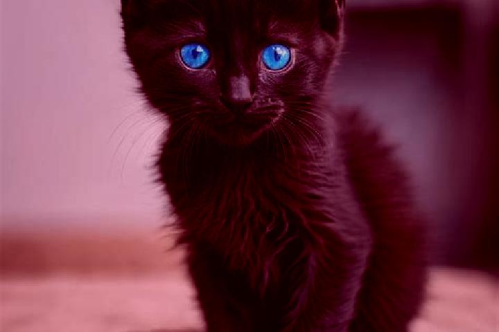 Clara, 28, a black blue-eyed mediterranean companion based in Bayasong. Offering 69, GFE, OWO, Roleplay. Available for incall and outcall, day and evening da...