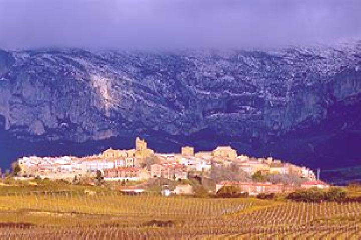 Clara, 28 — Escort in Rioja, Spain