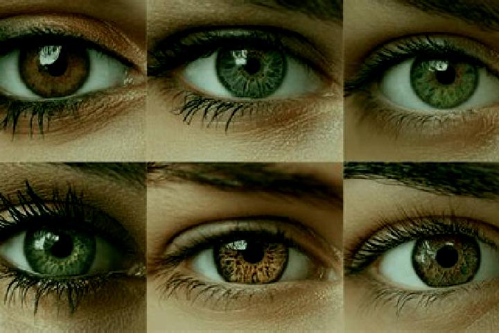 Clara, 29, a red hazel-eyed caucasian companion based in Recani. Offering Girlfriend Experience, OWO, Striptease, A-Level, BDSM. Available for incall and out...