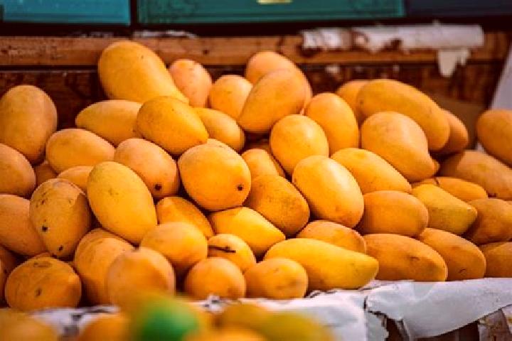 Clara, 29 — Escort in Colonia Mangos (El Quemado), Mexico