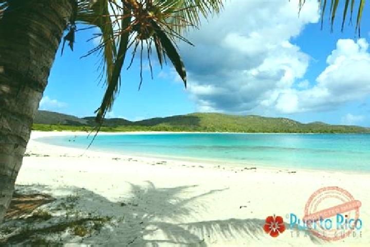 Clara, 29 — Escort in Culebra, Puerto Rico