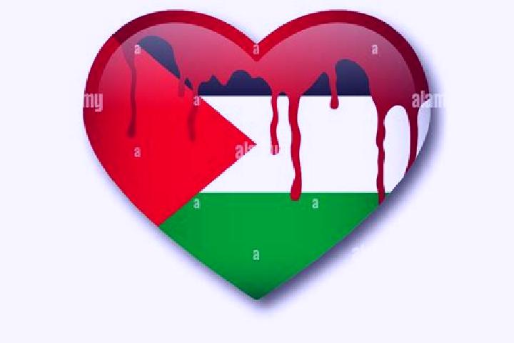 Clara, 29 — Escort in Dhannabah, Palestine