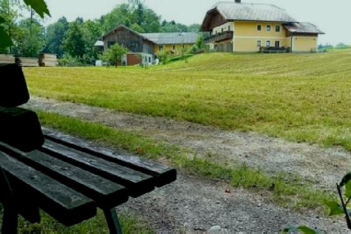 Clara, 31 — Escort in Eugendorf, Austria