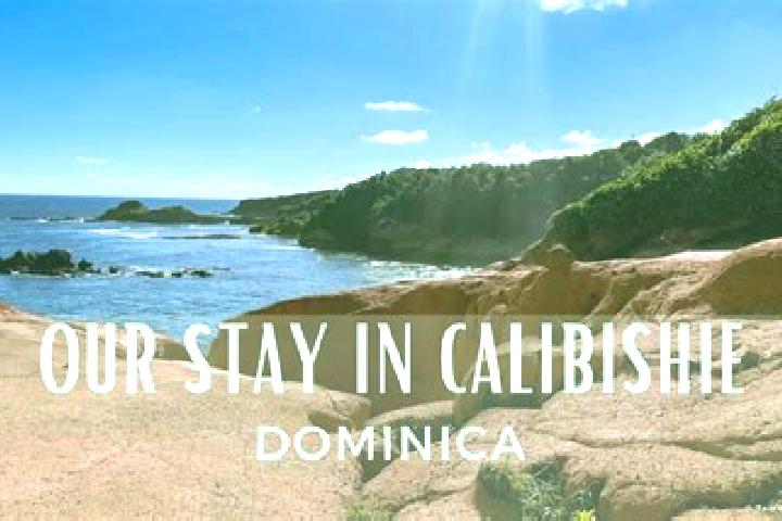 Clara, 32 — Escort in Calibishie, Dominica