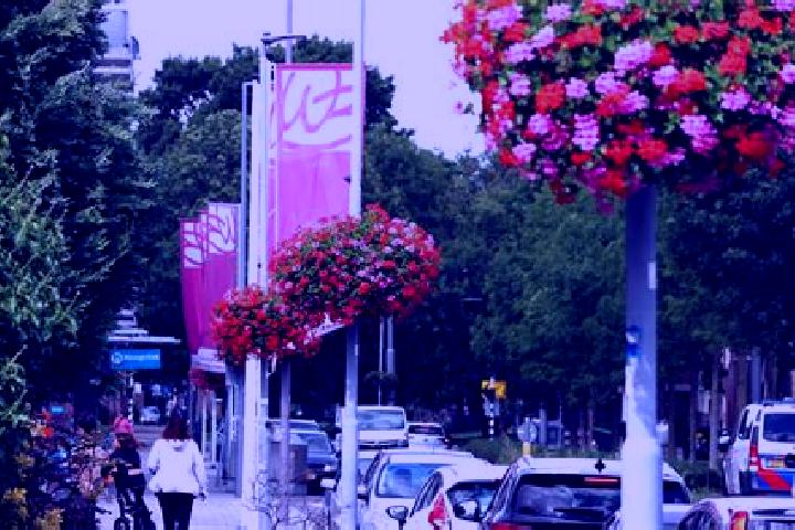 Clara, 32 — Escort in Groot IJsselmonde, Netherlands