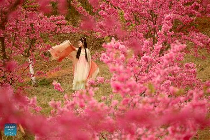 Clara, 32 — Escort in Quchi, China