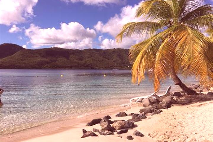 Clara, 32 — Escort in Sainte-Anne, Martinique