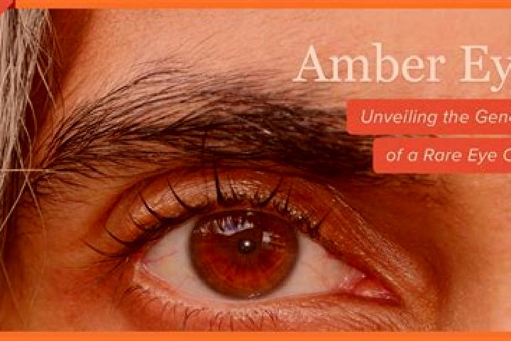 Clara, 33, a black amber-eyed caucasian companion based in Ellrich. Offering Prostate Massage, Roleplay, Travel Companion, Fetish. Available for incall and o...