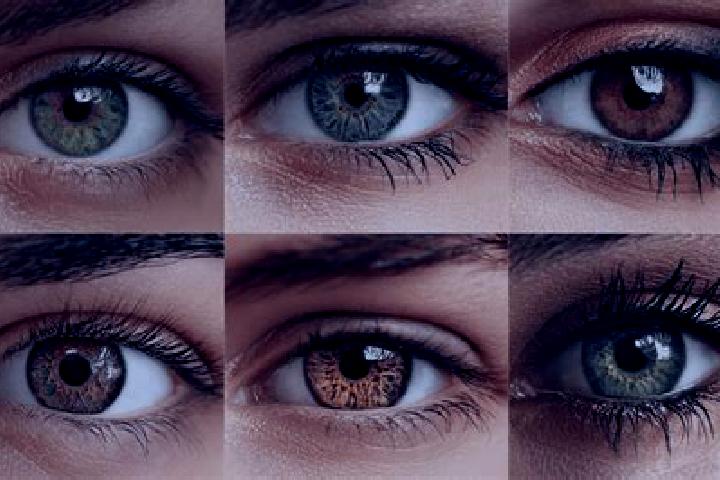 Clara, 33, a black hazel-eyed mediterranean companion based in Nilo. Offering Roleplay, Duos, Domination, Party Girl, CIM. Available for incall and outcall, ...