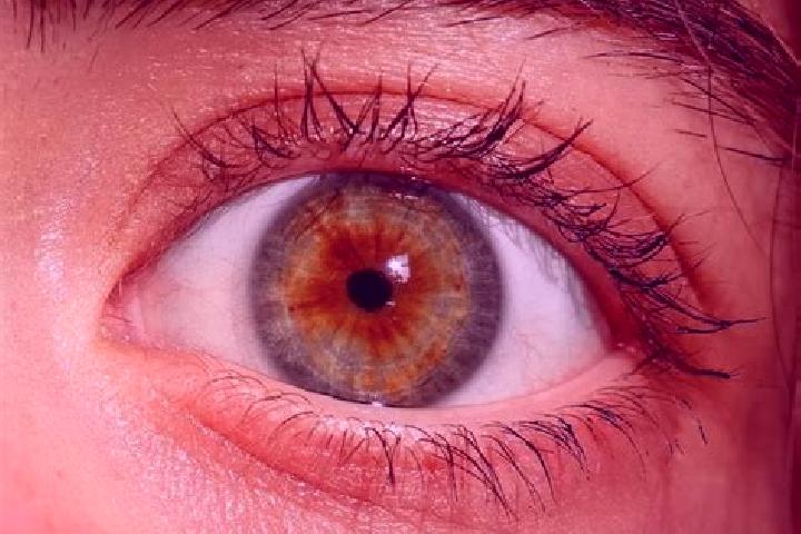 Clara, 33, a red hazel-eyed ebony companion based in Las Navajas. Offering Party Girl, Overnight, BDSM. Available for incall and outcall, overnight bookings ...