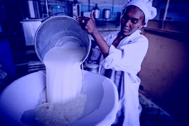 Clara, 33 — Escort in Ch ench a, Ethiopia