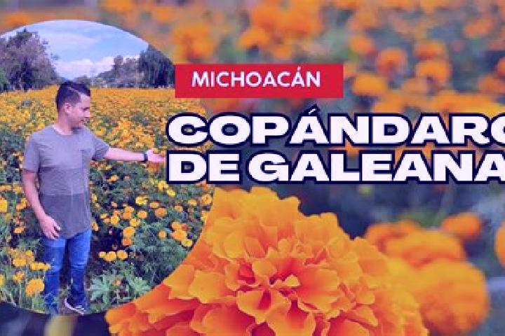 Clara, 33 — Escort in Copandaro (Copandaro del Cuatro), Mexico