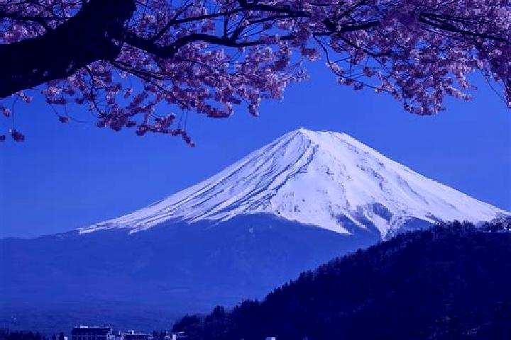 Clara, 33 — Escort in Fuji-yoshida, Japan