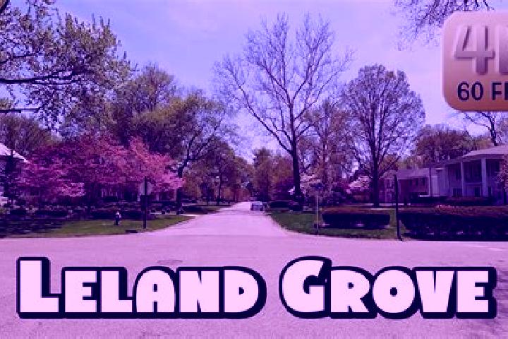 Clara, 33 — Escort in Leland Grove, United States