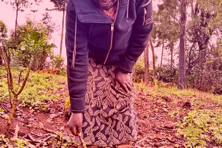 Clara, 33 — Escort in Mairo Inya, Kenya
