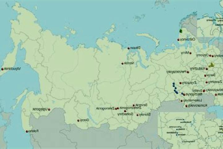 Clara, 33 — Escort in Preobrazheniye, Russia