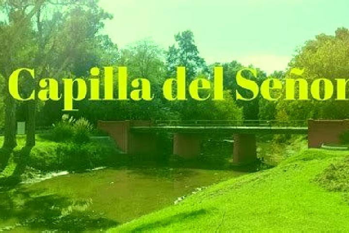 Clara, 34 — Escort in Capilla del Senor, Argentina