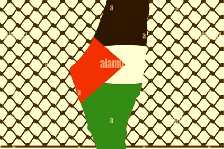 Clara, 34 — Escort in Jit, Palestine