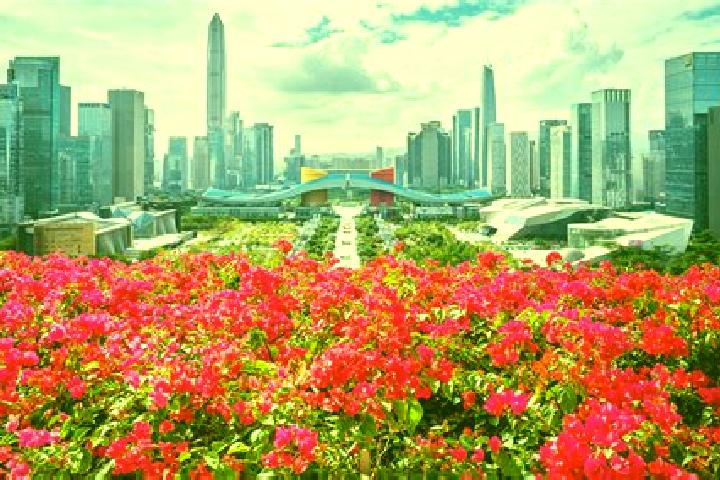 Clara, 34 — Escort in Lianhua, China