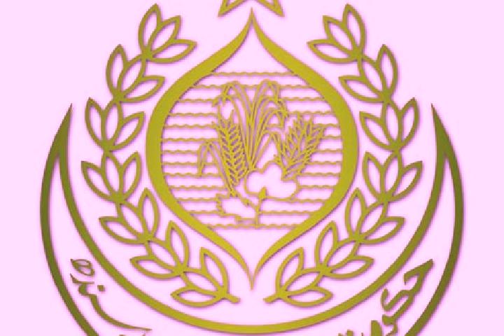 Clara, 34 — Escort in Markaz-e Hukumat-e Darweshan, Afghanistan