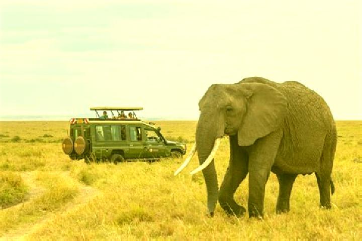 Clara, 34 — Escort in Marsabit, Kenya