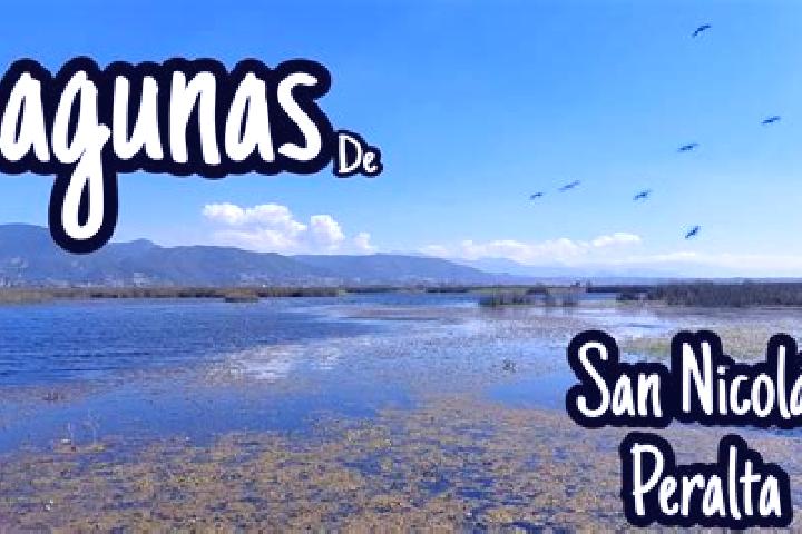 Clara, 34 — Escort in San Nicolas Peralta, Mexico