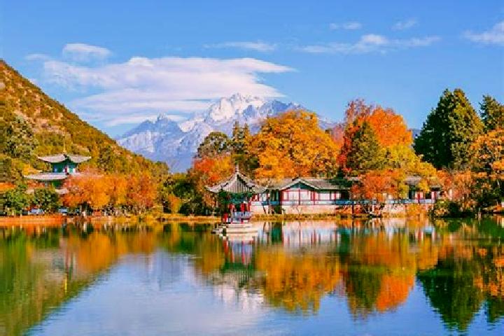 Clara, 34 — Escort in Shuangshi, China