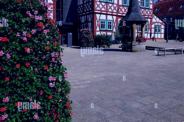 Clara, 34 — Escort in Stadtlauringen, Germany