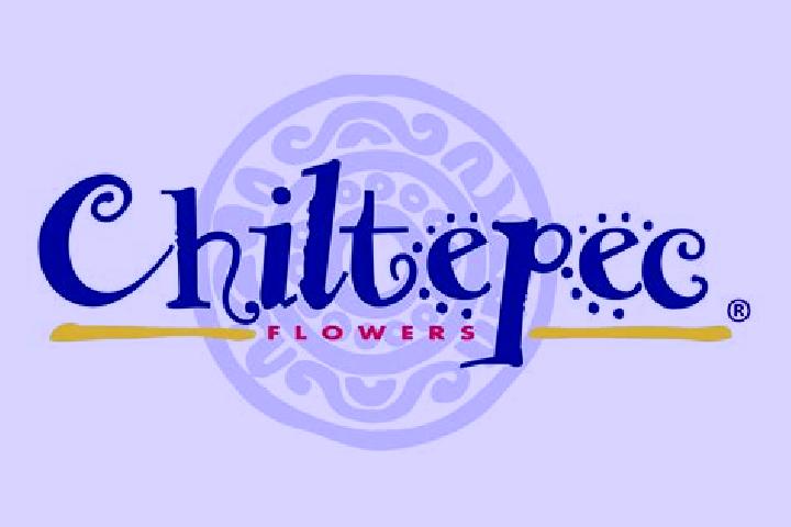 Clara, 35 — Escort in Chiltepec de Hidalgo, Mexico