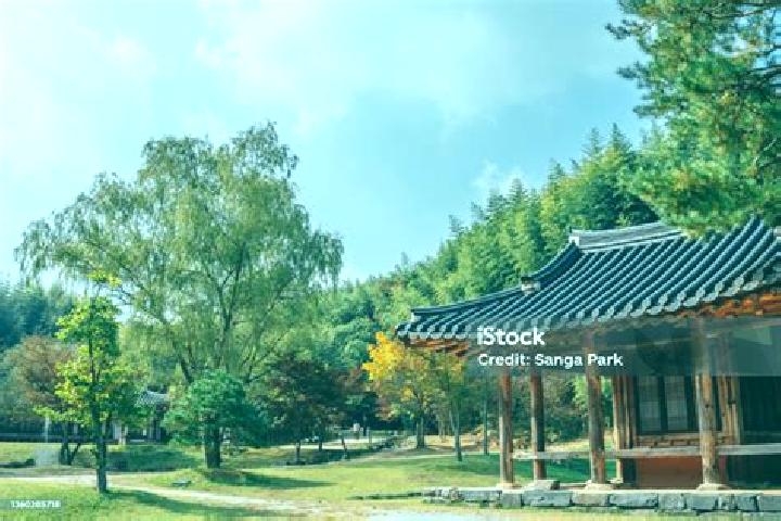 Clara, 35 — Escort in Damyang, South Korea