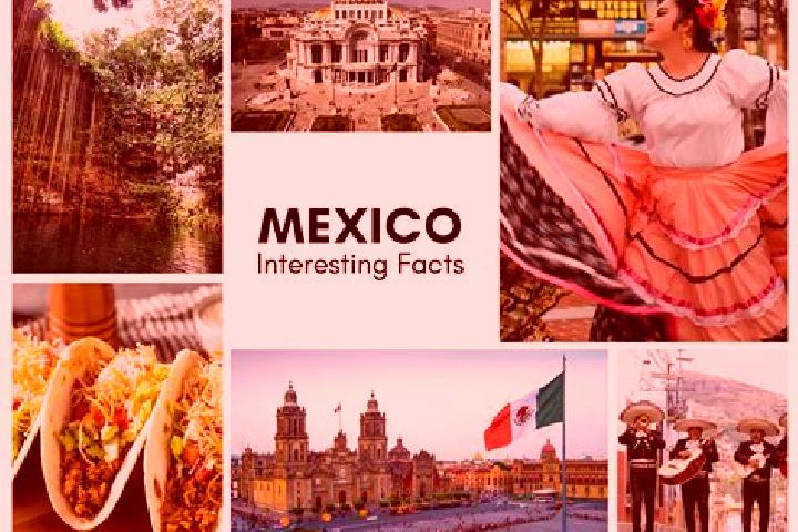 Clara, 35 — Escort in Lejem, Mexico