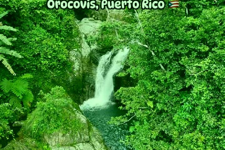 Clara, 35 — Escort in Orocovis, Puerto Rico