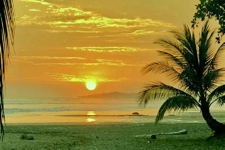 Clara, 35 — Escort in Parrita, Costa Rica