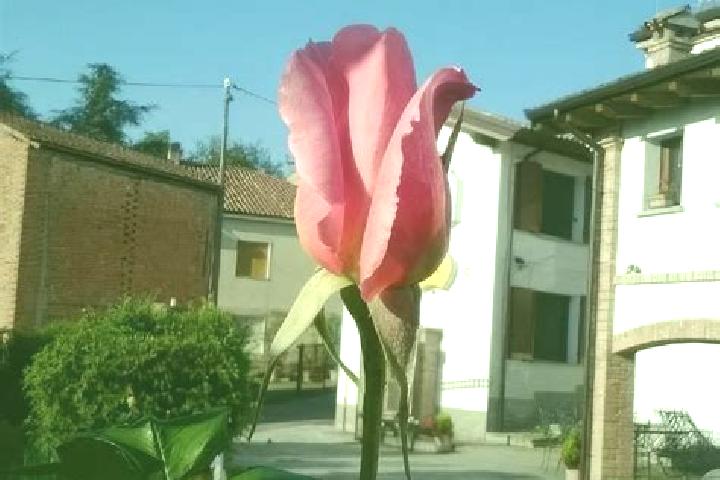 Clara, 35 — Escort in Pietra de Giorgi, Italy