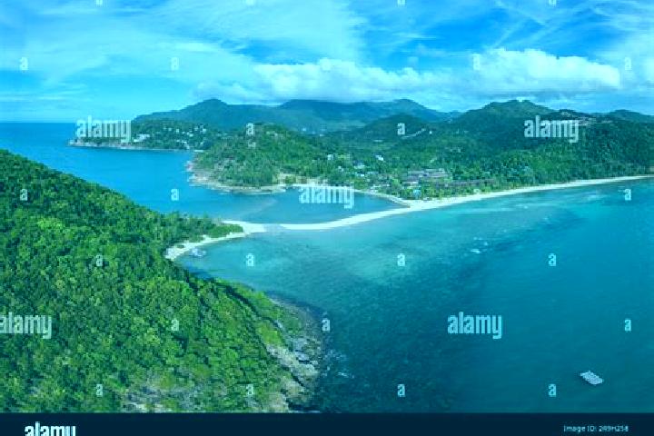 Clara, 36, a auburn blue-eyed caucasian companion based in Ko Pha Ngan. Offering Dinner Date, Overnight, Erotic Massage, A-Level, Deep French Kissing. Availa...