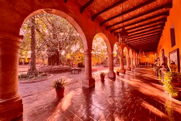 Clara, 36 — Escort in Tepoztlan, Mexico
