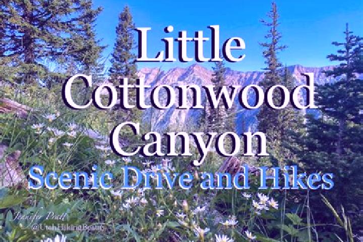 Clara, 37, a red blue-eyed caucasian companion based in Little Cottonwood Creek Valley. Offering Couples, Deep French Kissing, Duos, Striptease. Available fo...