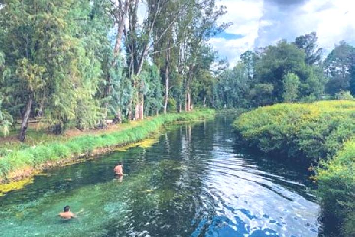 Clara, 37 — Escort in Ojo de Agua de la Palma, Mexico
