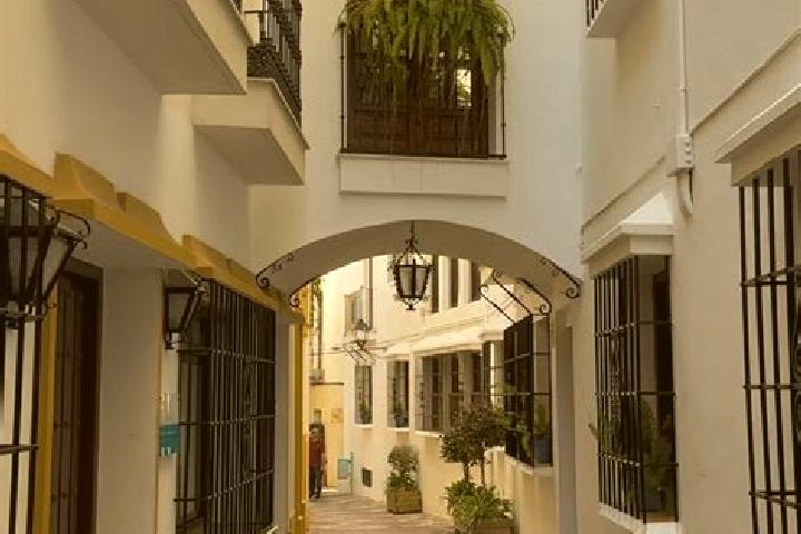 Clara, 37 — Escort in Tirig, Spain
