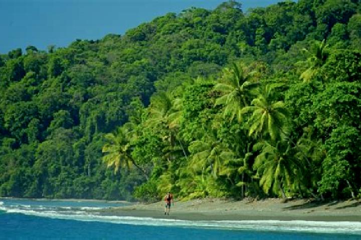 Clara, 38 — Escort in El Corcovado, Mexico