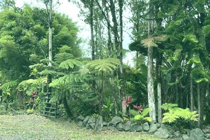 Clara, 38 — Escort in Fern Forest, United States