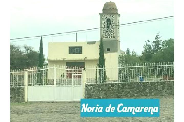 Clara, 38 — Escort in Noria de Camarena, Mexico