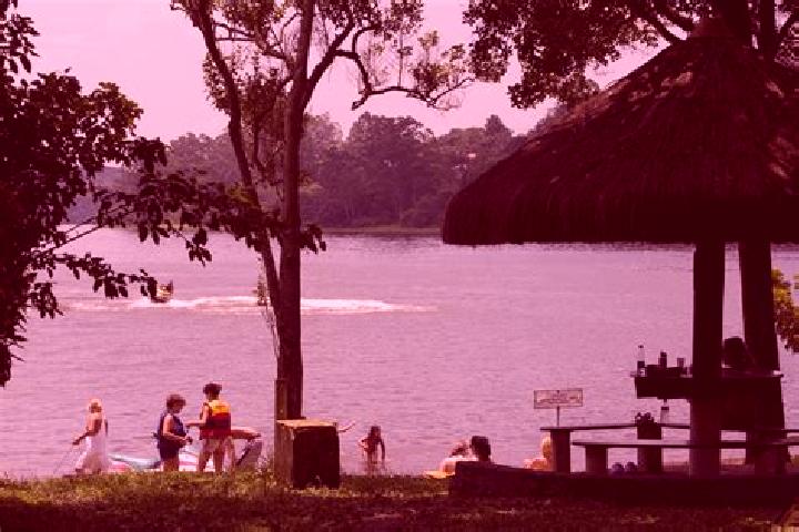 Clara, 38 — Escort in Represa Aurelio Benansini (Carehey), Mexico