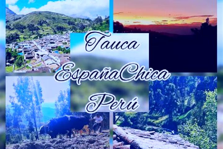 Clara, 38 — Escort in Tauca, Peru