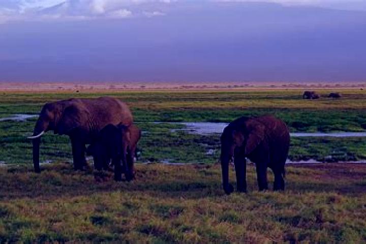 Clara, 38 — Escort in Upper Gilgil, Kenya