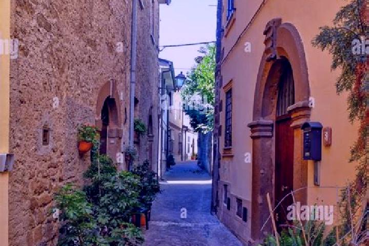 Clara, 39 — Escort in Arnara, Italy