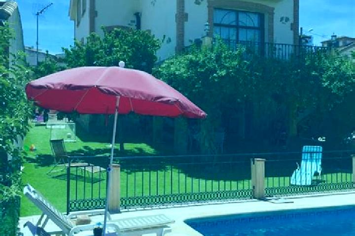 Clara, 39 — Escort in Casas de Don Pedro, Spain