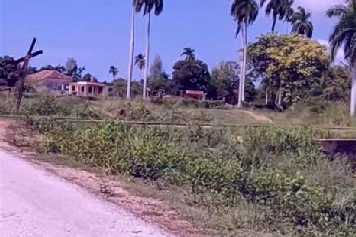 Clara, 39 — Escort in Corralillo, Cuba