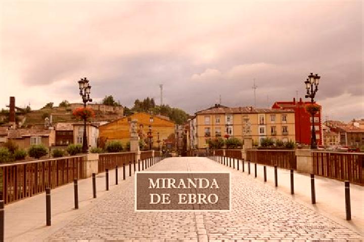 Clara, 39 — Escort in Miranda de Arga, Spain