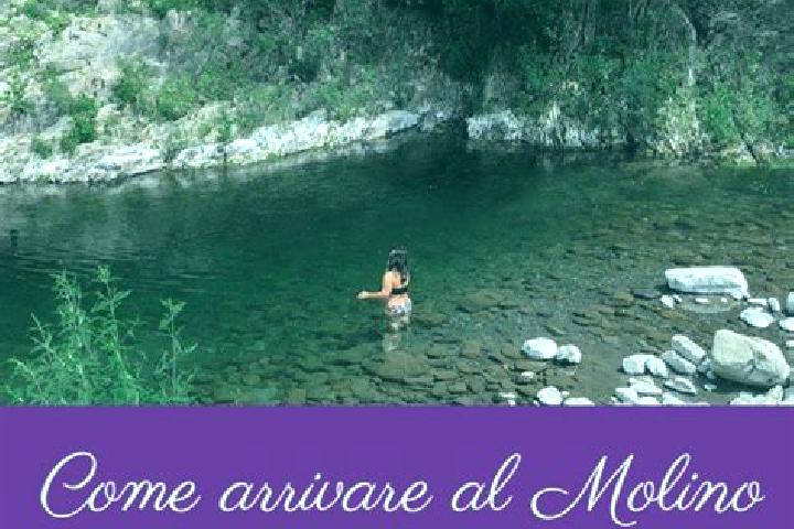 Clara, 39 — Escort in Molino del Pallone, Italy